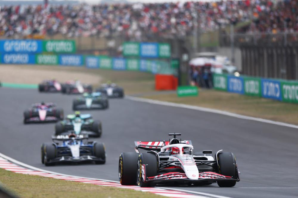 不仅展示了 不仅展示了