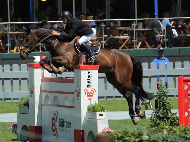 成为本轮英 成为本轮英