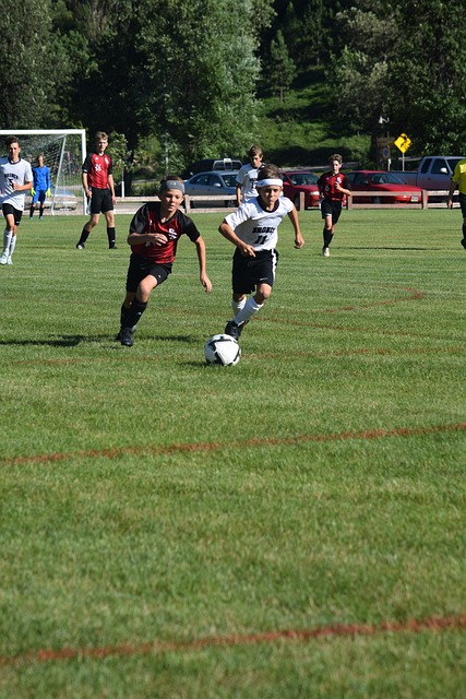 并肩作战的 并肩作战的