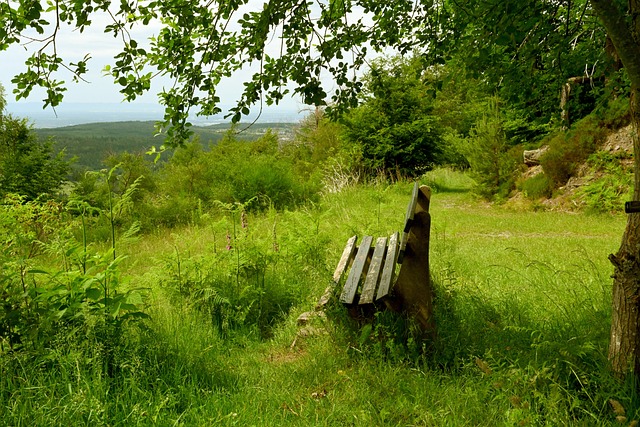烈竞争中 烈竞争中